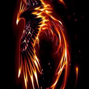 Meet your Posher, Malcolm